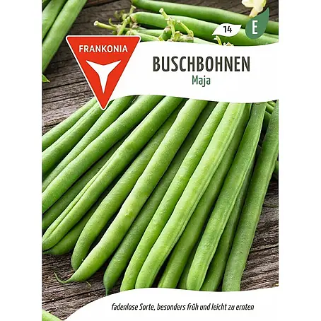 Frankonia Samen  Saatgut Buschbohne, Maja