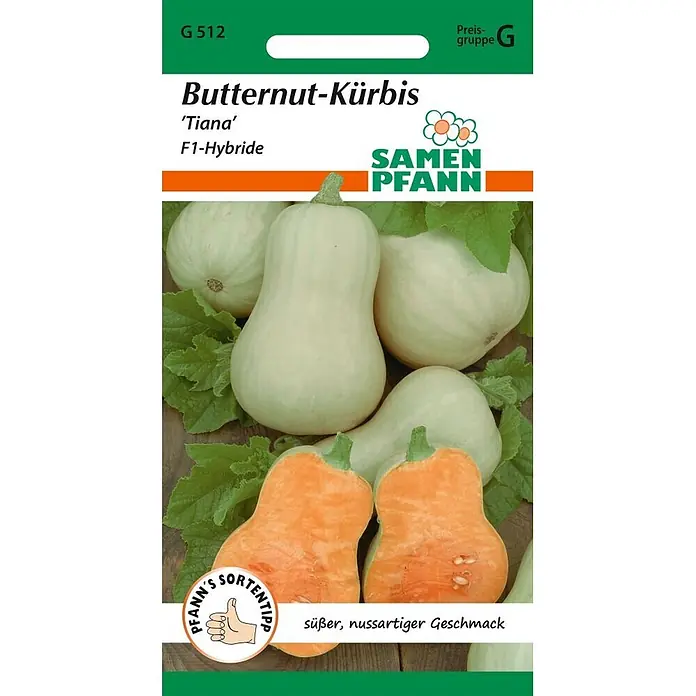 Samen Pfann Saatgut Butternut-Kürbis, Tiana F1 - Cucurbita moschata, 1,6 g - Saatguttüte für Butternut-Kürbis 'Tiana' F1-Hybride, zeigt hellgrüne Kürbisse und orangefarbenes Fruchtfleisch. Beschrieben als süß und nussartig.