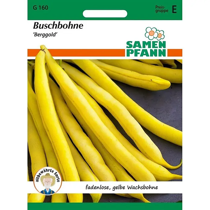 Samen Pfann Saatgut Buschbohne, Berggold - Phaseolus vulgaris, 6,2 g - Samenpäckchen für gelbe Buschbohne 'Berggold' mit einem Haufen leuchtend gelber Wachsbohnen.