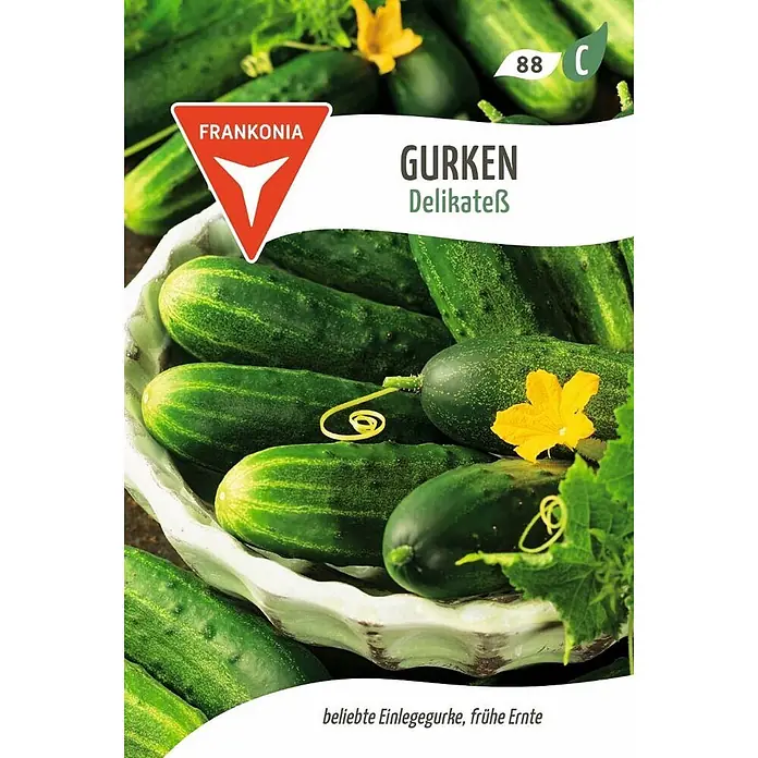 Frankonia Samen Saatgut Gurke, Delikateß - Cucumis sativus, 1,63 g - Frische Frankonia Delikatess Einlegegurken in einer weißen Schale, mit einer gelben Blüte und grünen Blättern.