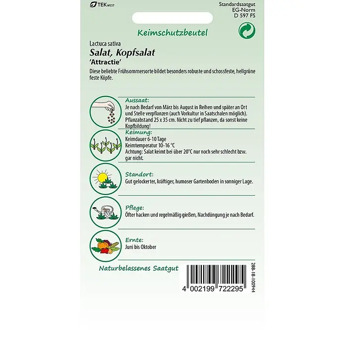 Samen Pfann Saatgut Kopfsalat, Attraktion -  - Saatgutpackung für Kopfsalat 'Attractie' mit Anbauanweisungen und Barcode.