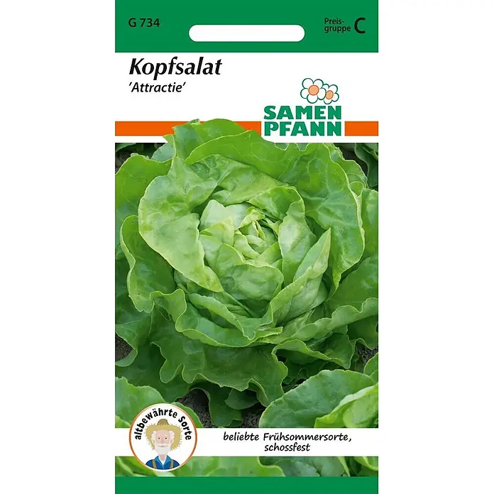 Samen Pfann Saatgut Kopfsalat, Attraktion -  - Grüne Samenpackung für Kopfsalat 'Attractie', einer bewährten, schossfesten Frühsommersorte von Samen Pfann.
