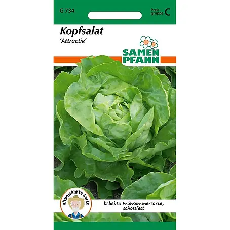 Samen Pfann Saatgut Kopfsalat, Attraktion