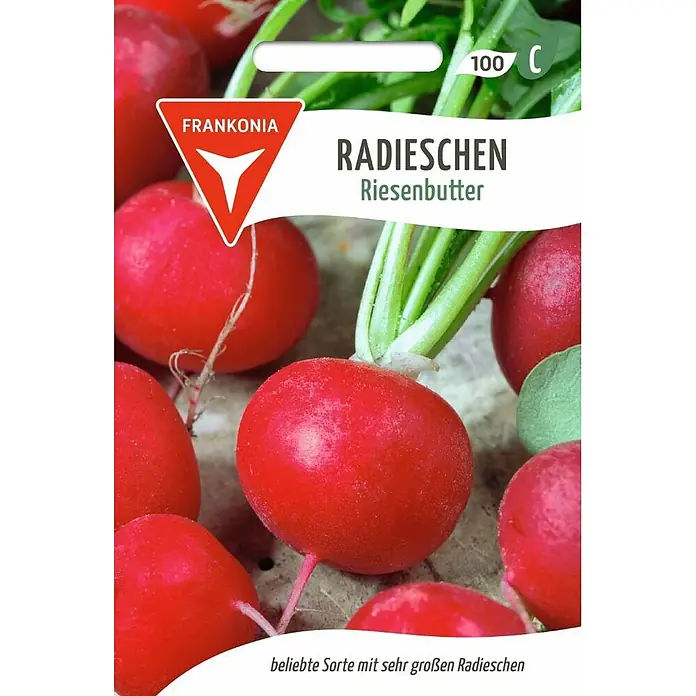Frankonia Samen Saatgut Radies, Riesenbutter - Raphanus sativus, 1,73 g - Leuchtend rote, runde 'Riesenbutter' Radieschen mit grünem Laub; Samenpaket mit 'FRANKONIA' & '100 C', beliebte große Sorte.