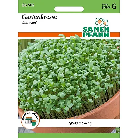 Samen Pfann  Saatgut Gartenkresse