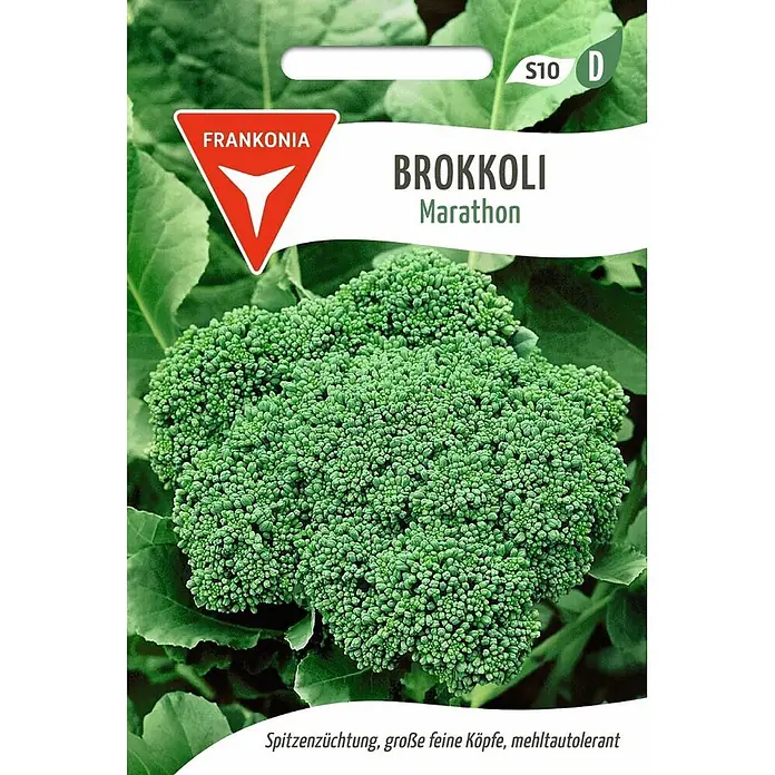 Frankonia Samen Saatgut Brokkoli, Marathon F1 - Brassica oleracea - Frankonia Brokkoli Marathon Samenpackung mit großem, grünem Brokkolikopf, eine Premiumsorte.