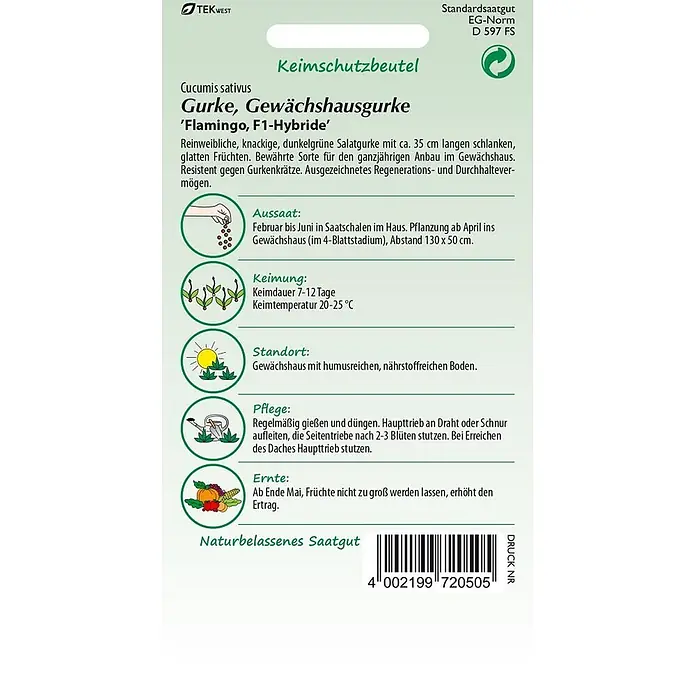 Samen Pfann Saatgut Salatgurke, Flamingo F1 - Cucumis sativus, 1,6 g - Grün-weiße Samentüte für Gewächshausgurke 'Flamingo, F1-Hybride' mit Anbauanweisungen und Produktdetails.