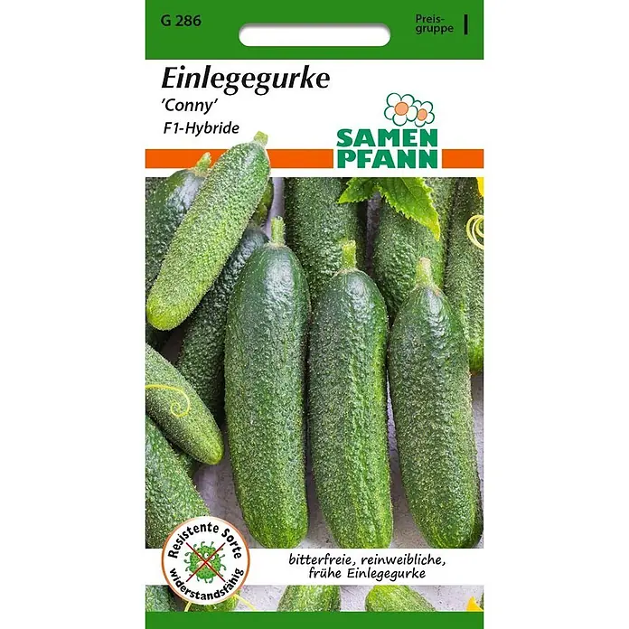 Samen Pfann Saatgut Einlegegurke, Conny F1 - Cucumis sativus, 1,6 g - Verpackung für Einlegegurken 'Conny' F1-Hybride, bitterfrei, reinweiblich, früh.