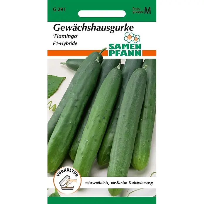 Samen Pfann Saatgut Salatgurke, Flamingo F1 - Cucumis sativus, 1,6 g - Samenpäckchen für Gewächshausgurken 'Flamingo' F1-Hybride mit Abbildung grüner Gurken und Text zur einfachen Kultivierung.