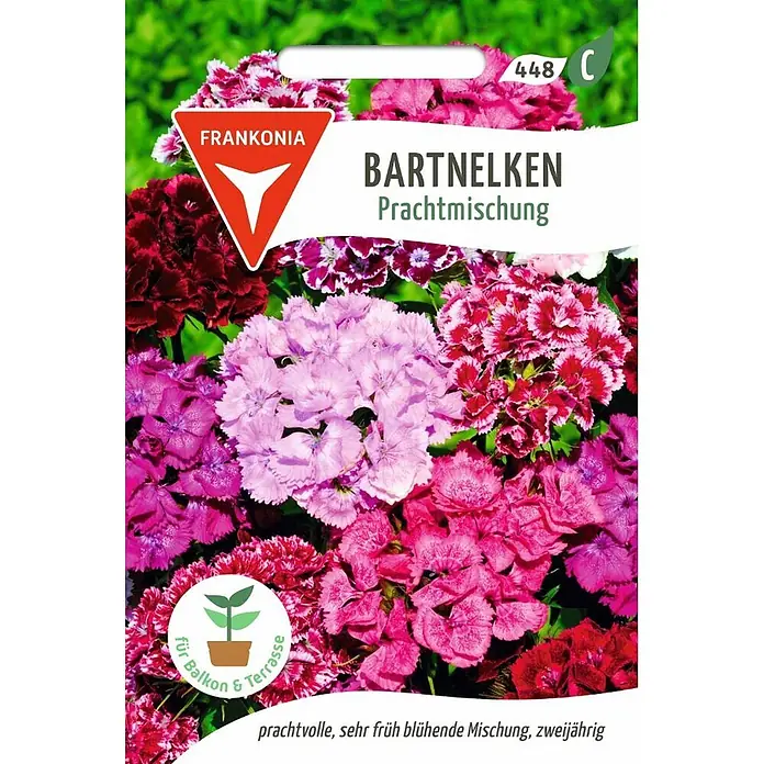 Frankonia Samen Saatgut Bartnelken, Prachtmischung - Dianthus barbatus, 1,48 g - Frankonia Bartnelken Prachtmischung Samenpackung mit leuchtenden rosa, violetten und roten Blüten, geeignet für Balkon und Terrasse.