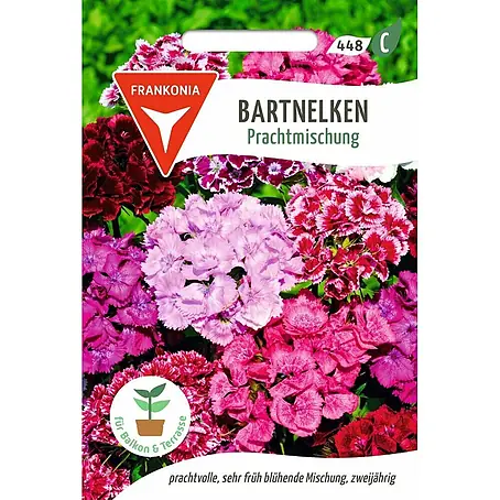 Frankonia Samen  Saatgut Bartnelken, Prachtmischung