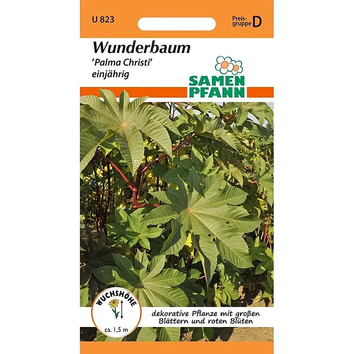 Samen Pfann Saatgut Wunderbaum (Ricinus), Palma Christi - Ricinus communis, 1,9 g - Samenpackung für Wunderbaum 'Palma Christi', einjährige Pflanze mit großen Blättern und roten Blüten, ca. 1,5m Wuchshöhe.
