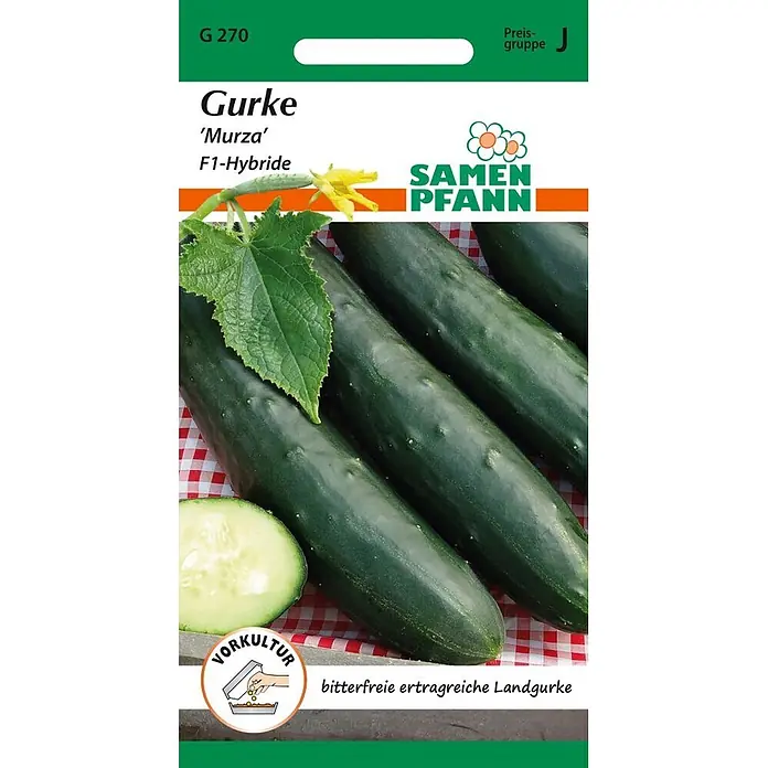 Samen Pfann Saatgut Gurke, Murza F1, Landgurke, bitterfrei - Cucumis sativus, var. Murza F1, 1,6 g - Samentüte für Gurke 'Murza' F1-Hybride, mit dunkelgrünen Gurken, einer Scheibe und einer gelben Blüte.