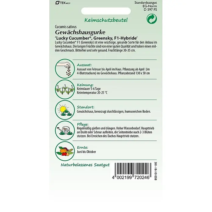 Samen Pfann Saatgut Gewächshausgurke, Lucky Cucumber (Greensky F1) - Cucumis sativus, 1,6 g - Samentüte für F1-Hybrid Gewächshausgurke 'Lucky Cucumber', hellgrün mit Pflanzanleitung.