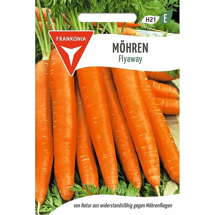 Frankonia Samen Saatgut Möhre, Flyaway F1 - Daucus carota - Nahaufnahme leuchtend oranger 'Flyaway' Möhren mit Grün, auf einer Samentüte als widerstandsfähig gegen Möhrenfliegen beschrieben.