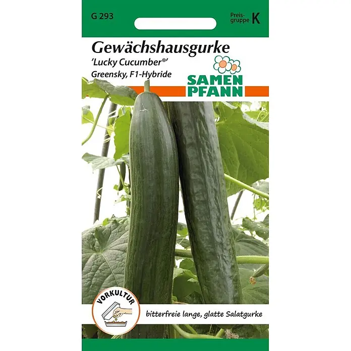 Samen Pfann Saatgut Gewächshausgurke, Lucky Cucumber (Greensky F1) - Cucumis sativus, 1,6 g - Samenpäckchen für Gewächshausgurken 'Lucky Cucumber', zeigt zwei lange, dunkelgrüne Gurken an der Pflanze.