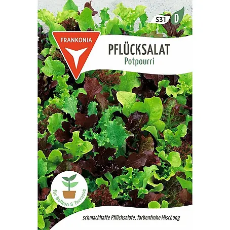 Frankonia Samen  Saatgut Pflücksalat, Potpourri