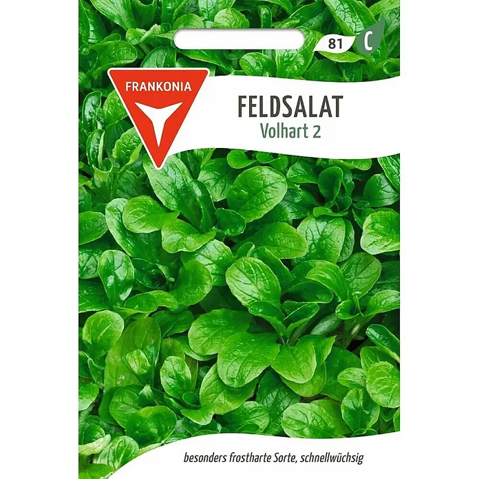 Frankonia Samen Saatgut Feldsalat, Volhart 2 - Valerianella locusta, 1,68 g - Saatguttüte für Feldsalat 'Volhart 2', mit üppig grünen Blättern, beschrieben als besonders frostharte und schnellwüchsige Sorte.