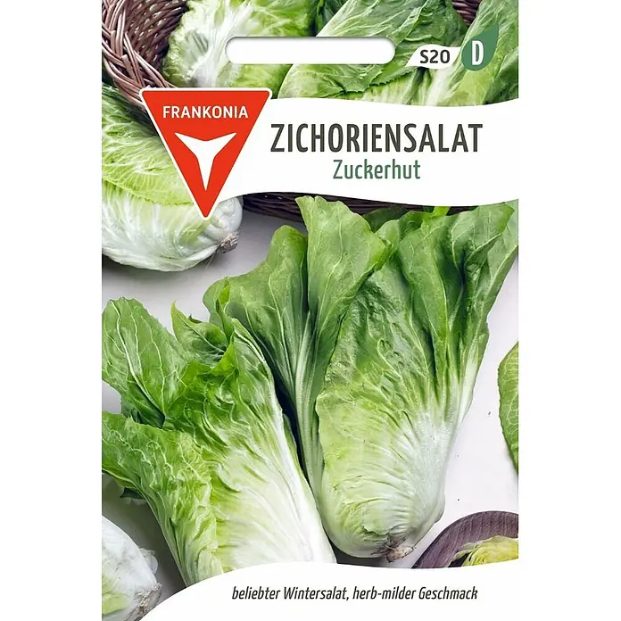 Frankonia Samen Saatgut Zichoriensalat, Zuckerhut - Cichorium intybus, 1,53 g - Samenpäckchen für Zichoriensalat 'Zuckerhut', zeigt frische grüne Salatköpfe.