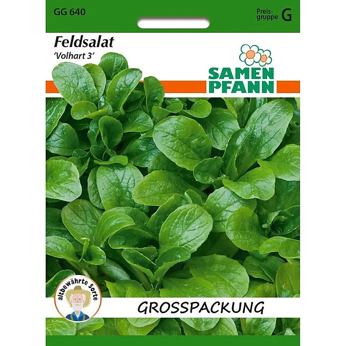 Samen Pfann Saatgut Feldsalat, Vollhart 3 - Valerianella locusta - Grüne Samentüte für Feldsalat 'Volhart 3' von Samen Pfann, mit gesunden grünen Blättern.