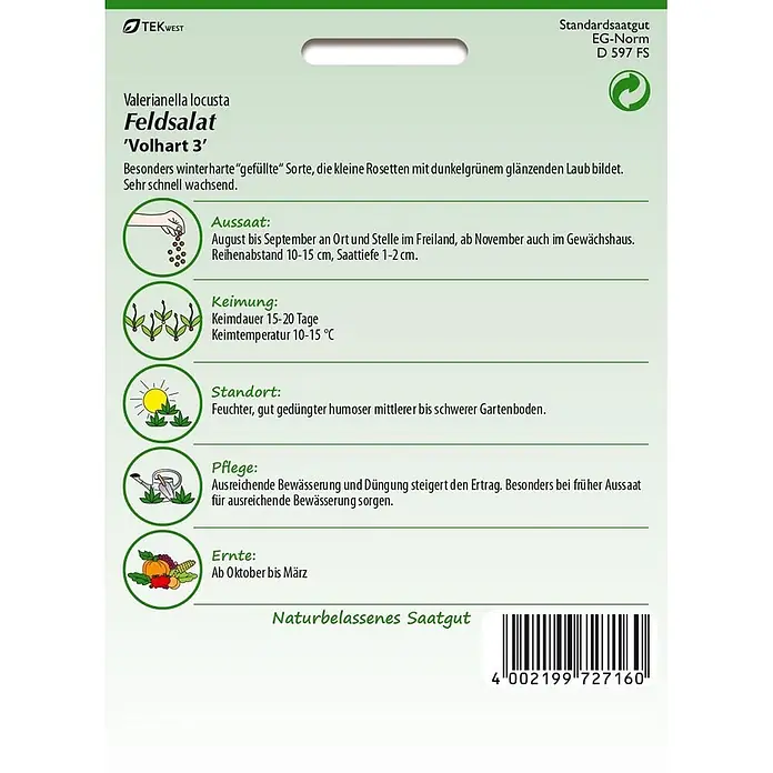Samen Pfann Saatgut Feldsalat, Vollhart 3 - Valerianella locusta - Samentüte für Feldsalat 'Volhart 3' mit Pflanzanleitung und Illustrationen.