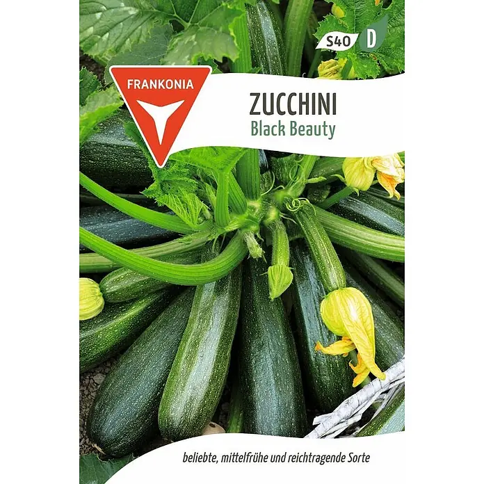 Frankonia Samen Saatgut Zucchini, Black Beauty - Cucurbita pepo, 1,68 g - Dunkelgrüne Zucchini 'Black Beauty' mit gelben Blüten und grünen Blättern an der Pflanze.