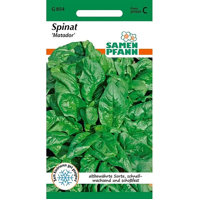 Samen Pfann Saatgut Spinat, Matador - Spinacia oleracea, 2,5 g - Samen-Pfann Spinat 'Matador' Samenpackung mit grünen Blättern. Schnellwachsend, schoßfest, gut zum Einfrieren.