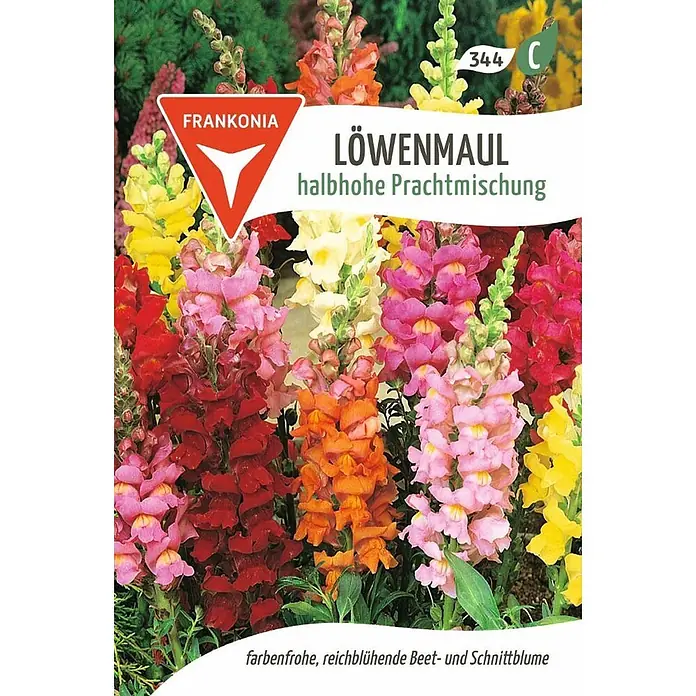 Frankonia Samen Saatgut Löwenmaul, halbhohe Prachtmischung - Antirrhinum majus - Farbenfrohe, reichblühende, halbhohe Löwenmaul-Mischung für Beet und Schnitt.