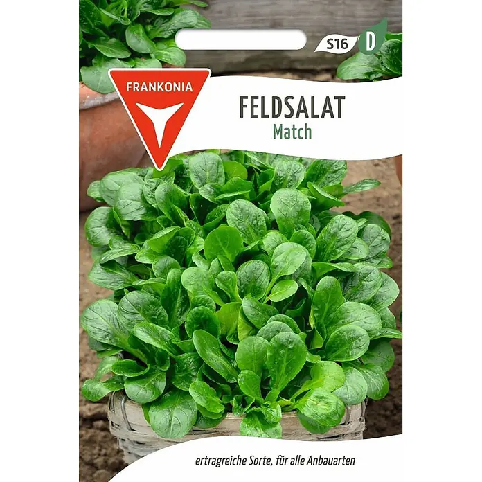 Frankonia Samen Saatgut Feldsalat, Match - Valerianella locusta, 1,68 g - Frankonia Feldsalat "Match" Samenpaket mit einer kräftig grünen Pflanze.