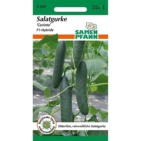 Samen Pfann  Saatgut Salatgurke, Freiland-Salatgurke, Corinto F1