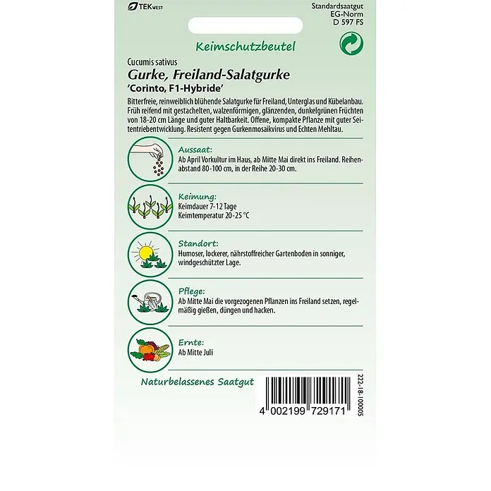 Samen Pfann Saatgut Salatgurke, Freiland-Salatgurke, Corinto F1 - Cucumis sativus, 1,6 g - Keimschutzbeutel für Freiland-Salatgurke 'Corinto, F1-Hybride' mit Pflanzanleitung und Produktdetails.