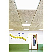 THU Ceiling Solutions Placa para techo Viruta (1,2 m x 60 cm)