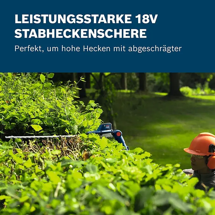 Bosch Professional AMPShare 18V Teleskop-Heckenschere GHE18V-50 FP - 18 V, Li-Ionen, Anzahl Akkus: Ohne Akku - Eine blaue Stabheckenschere wird von einer Person zum Schneiden einer hohen Hecke verwendet.