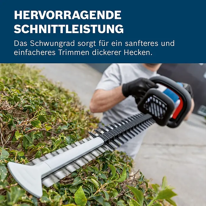 Bosch Professional AMPShare 18V Akku-Heckenschere GHE 18V-60 II - 18 V, Ohne Akku, Schwertlänge: 60 cm - Heckenschere schneidet grüne Hecke. Die grauen und schwarzen Klingen sind sichtbar, gehalten von einer Person mit Handschuhen.