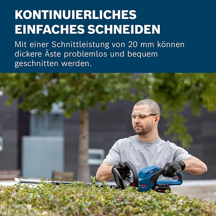 Bosch Professional AMPShare 18V Akku-Heckenschere GHE 18V-60 - 18 V, Ohne Akku, Schnittlänge: 60 cm - Mann trimmt Hecke mit einer blauen Bosch Heckenschere.