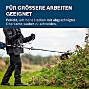 Bosch Professional AMPShare 18V Desbrozadora de disco de batería GFR18V-25 BH (18 V, Ancho de corte hilo: 40 cm, Ancho de corte cuchilla: 25 cm) | BAUHAUS
