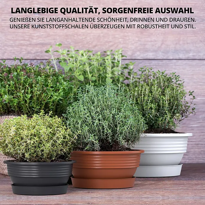 Plastard Pflanzschale rund 5er Set Pflanzenschalen Ø 52 cm mit Untersetzer rund – Anthrazit - 5 Stk., Außenmaß (Ø x H): 52 x 17,5 cm, Kunststoff, Anthrazit - Mehrere schwarze, braune und weiße Kunststoff-Pflanztöpfe, gefüllt mit verschiedenen Kräutern.