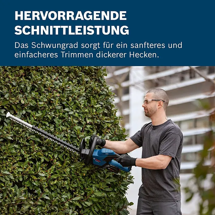 Bosch Professional AMPShare 18V Akku-Heckenschere GHE 18V-50 II - 18 V, Ohne Akku, Schwertlänge: 50 cm - Ein Mann trimmt mit einer blau-schwarzen Bosch Heckenschere eine dichte grüne Hecke.