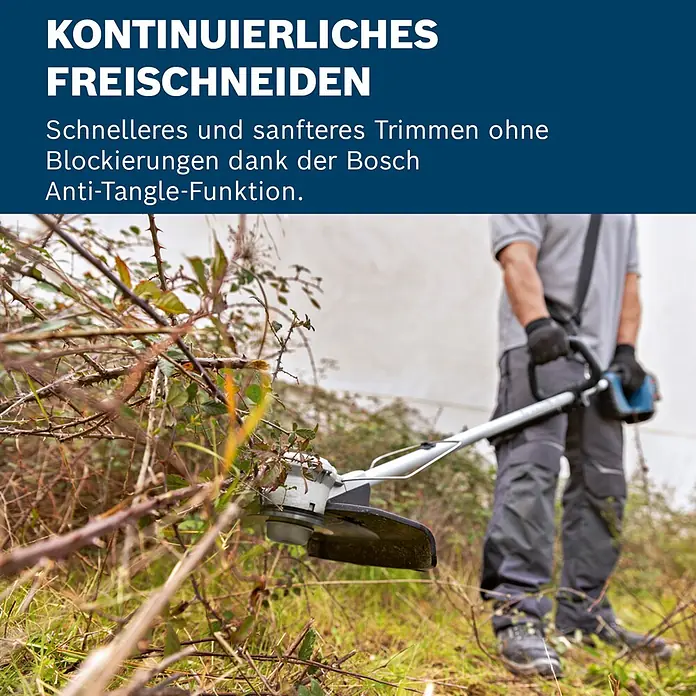 Bosch Professional AMPShare 18V Akku-Freischneider GFR 18V-23 - 18 V, Ohne Akku, Schnittbreite Messer: 23 cm - Eine Person trimmt dichte Dornenbüsche mit einem grauen Bosch Freischneider. Das Gerät entfernt verwickeltes Gestrüpp.