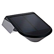 Paulmann Soley LED-Solar-Außenwandleuchte (Bewegungsmelder, 1,2 W, Kunststoff, Warmweiß, Anthrazit)
