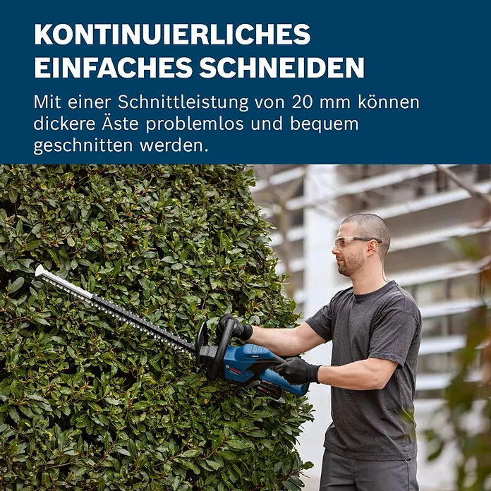 Bosch Professional AMPShare 18V Akku-Heckenschere GHE 18V-50 - 18 V, Ohne Akku, Schnittlänge: 50 cm - Mann benutzt eine blaue und schwarze Bosch Heckenschere, um eine grüne Hecke zu schneiden.