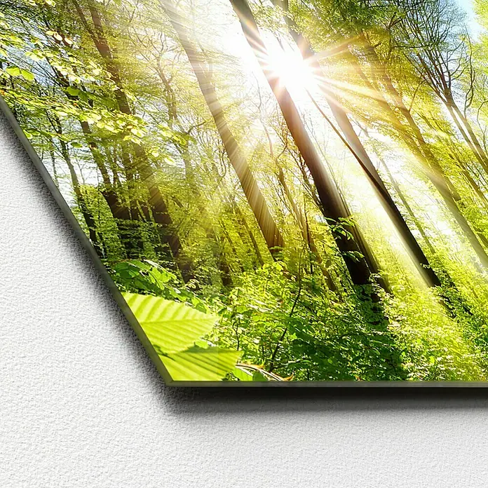 ProArt Glasbild - Towards the Sun, B x H: 125 x 50 cm - Das gerahmte Bild zeigt einen Wald mit Sonnenstrahlen, die durch die Baumkronen scheinen und eine friedliche, natürliche Atmosphäre schaffen.
