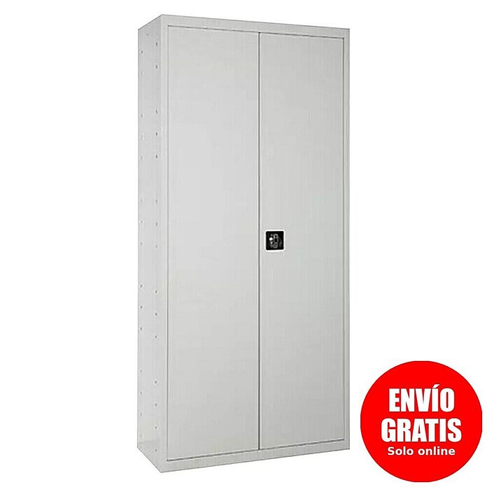 Regalux Armario multiusos metálico (L x An x Al: 40 x 100 x 180 cm, Gris) | BAUHAUS