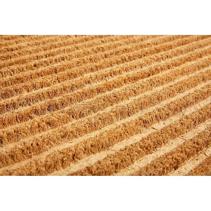 Fußmatte Coco Shape - 75 x 45 cm, Natur, Material Nutzschicht: 100 % Kokos, Streifen - Hellbraune Kokosmatte mit texturierten, parallelen Borstenreihen zum Schuhabstreifen.