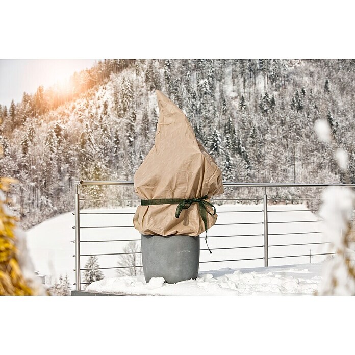 Windhager Winterschutzvlies Protect (L x B: 5 x 2 m, Beige, Grammatur: 30 g/m²)