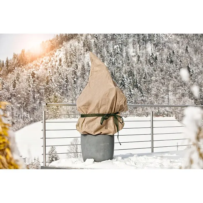 Windhager Winterschutzvlies - L x B: 5 x 2 m, Beige, Grammatur: 30 g/m² - Beiger Winter-Pflanzenschutz aus Stoff mit grünem Band auf grauem Topf auf einem schneebedeckten Balkon.