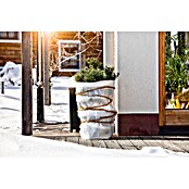 Windhager Luftpolsterfolie Winter-Kälteschutzfolie (5 x 1 m, Folienstärke: 60 µm)