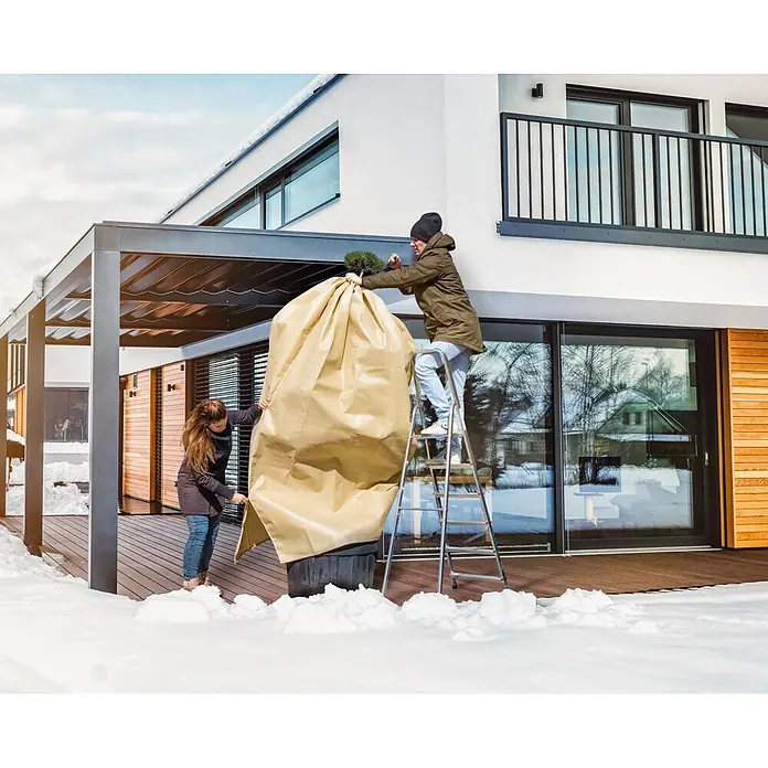 Windhager Winterschutzvlies - L x B: 2,4 x 1,9 m, Beige, 140 g/m² - Goldener Pflanzenschutzsack wird von zwei Personen im Winter über eine große Topfpflanze gelegt.