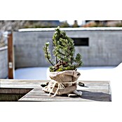 Windhager Gartensack Jute (L x B: 110 x 100 cm, Natur)