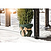 Windhager Jute-Gewebematte Wickelstreifen (L x B: 25 m x 10 cm, Natur)